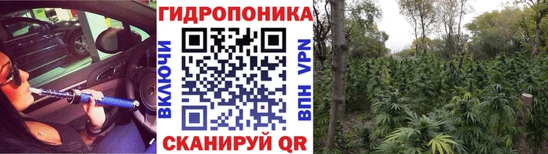 Как найти наркотики Кушва Кокаин  Гашиш  МДМА  Марихуана 