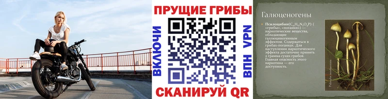 Псилоцибиновые грибы мицелий Кушва